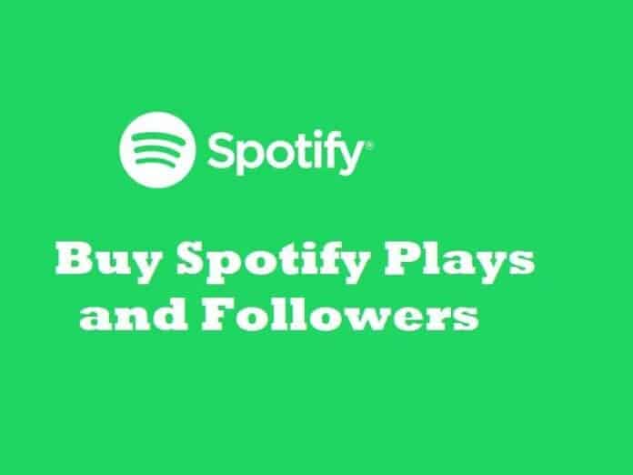 Spotify Plays and Followers