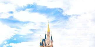 Disney Vacation Club Rental Tips: What to Know Before Buying