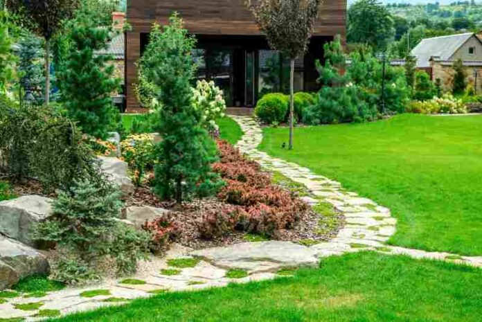 Ways to Use Backyard Landscaping