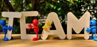 Top Strategies for Team Performance Management