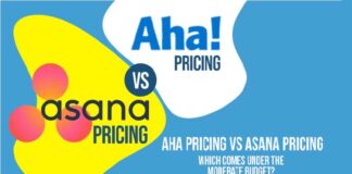 Aha Pricing vs Asana Pricing – Which Comes Under the Moderate Budget?