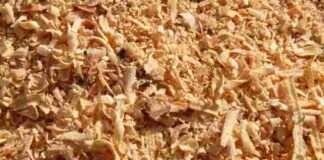 What to Do With Sawdust from Stump Grinding