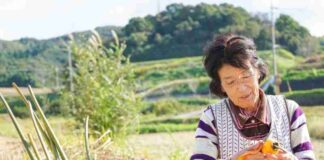 The Ultimate Guide to Living a More Sustainable Lifestyle