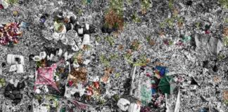 6 Ways Businesses Can Benefit from Hiring Junk Removal Service