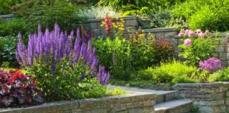 4 Must-Know Landscaping Tips for Homeowners