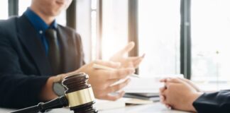 What Does a Legislator Do?