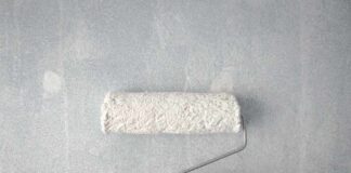 Significance of Choosing High-Quality Paint For Painting Projects