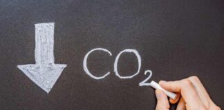 Can You Extract Carbon From the Air?