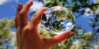 Easy Ways to Save the Planet and Help the Environment in 2023