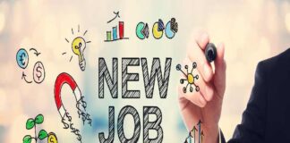 5 Reasons to Choose a Career in Insurance