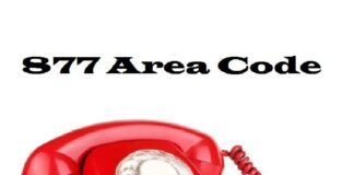 877 Area Code – All Information You Need To Know