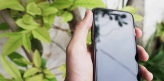 What is the Number 916 246 1279 Stand for