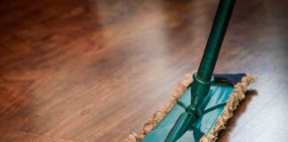 Comparing Different Types of Cleaning Products & Techniques