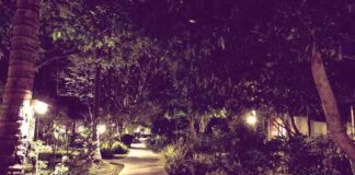 How to Consider A Good Outdoor Lighting?