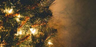 Mesmerizing Christmas Lights: A Festive Spectacle That Will Leave You Spellbound! Christmas Tree With String Lights