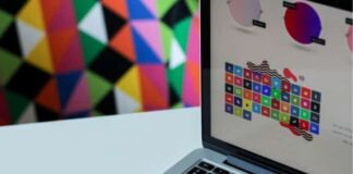 Elevate Your Brand with Custom Illustrated Logo Designs