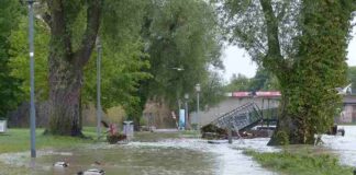 Mitigating Water Damage: Immediate Actions to Minimize the Impact