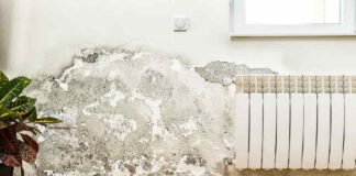 Navigating Commercial Damp Challenges for Business Continuity