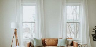 What to Expect from a Free Pest Inspection: A Step-by-Step Guide