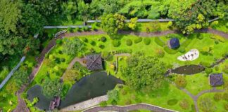 Creating Beauty, One Garden at a Time: Landscape Design & Installation