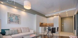 Harmonizing Home Wellness: Blending Expert Cleaning with Sustainable Energy Practices