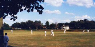 Player Performance Prediction Models in Fantasy Cricket People Playing Cricket on Green Grass Field