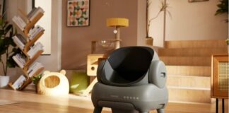 How to Reduce Litter Waste with an Automatic Litter Box Cat litter box in the middle of a modern